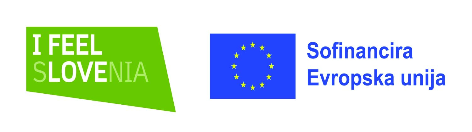 Sofinancira Evropska unija